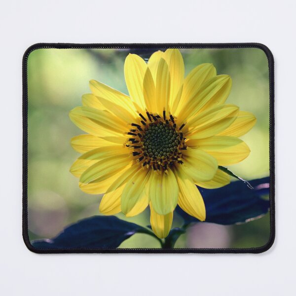 Item preview, See the Sun designed and sold by cuprum.