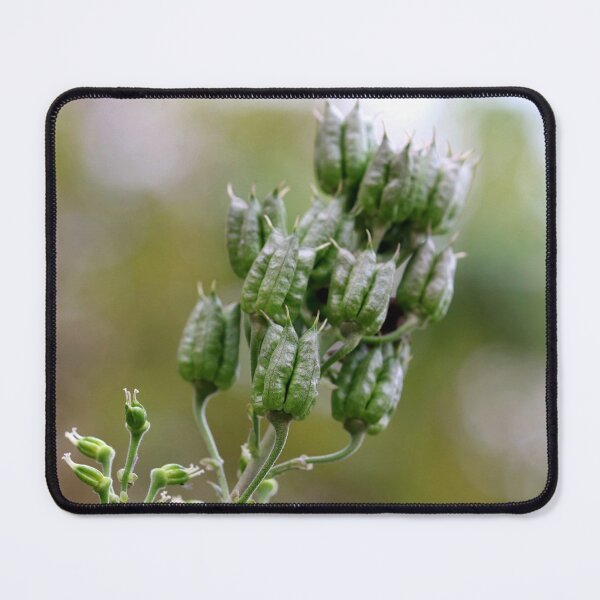 Item preview, Still a Garden Jewel designed and sold by cuprum.
