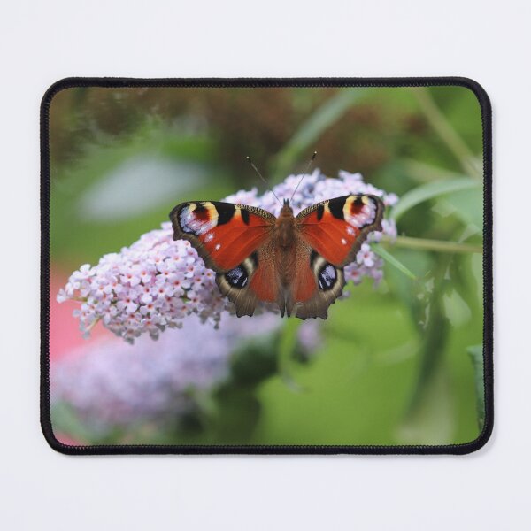 Item preview, Peacock on Buddleja designed and sold by cuprum.