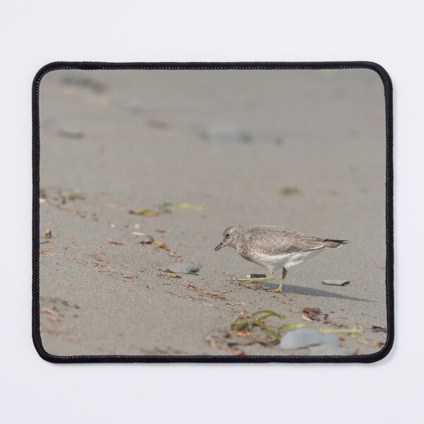Item preview, Juvenile Baird's Sandpiper designed and sold by SusanAdey.