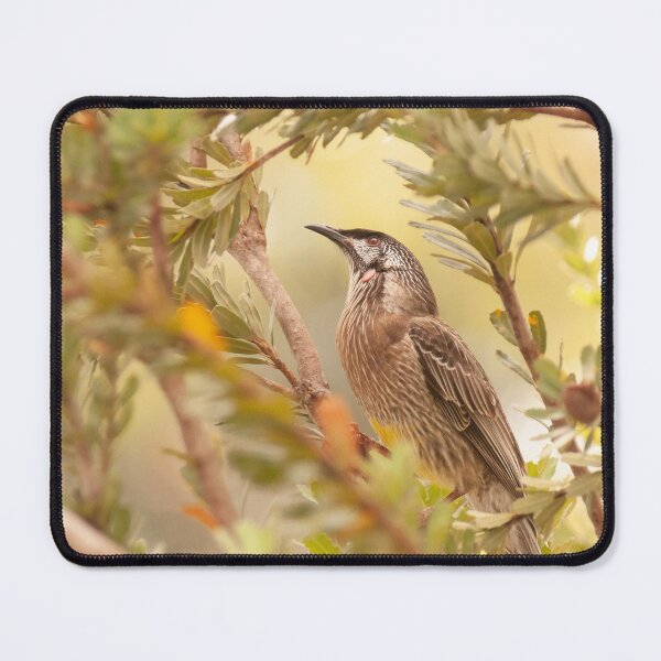 Item preview, Red Wattlebird designed and sold by SusanAdey.