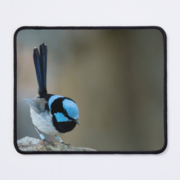 Item preview, Superb Fairy Wren designed and sold by SusanAdey.