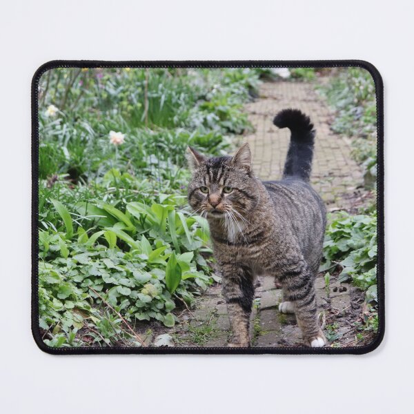 Item preview, Loverboy Visiting designed and sold by cuprum.