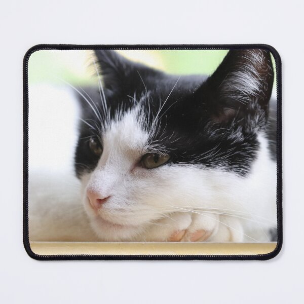 Item preview, Can I PLEASE have some privacy here... designed and sold by cuprum.