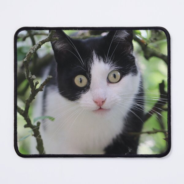 Item preview, Mastering the Apple Tree designed and sold by cuprum.