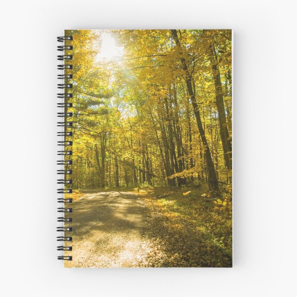 Item preview, Sunlit Woods designed and sold by Maia Howell.
