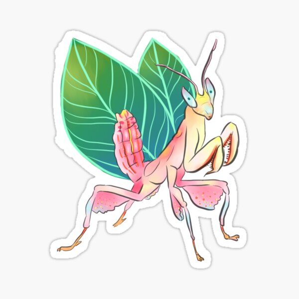 Orchid Mantis is a fairy Sticker