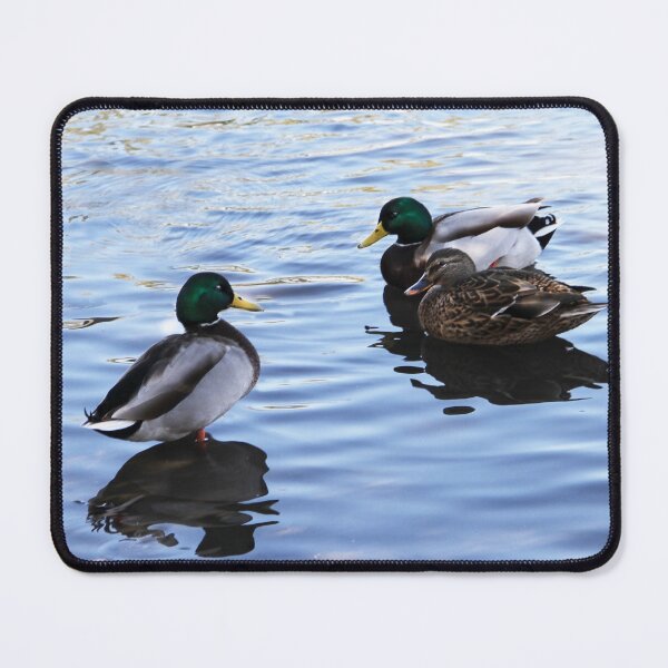 Item preview, Mid-Day Meeting on the Lake designed and sold by heatherfriedman.