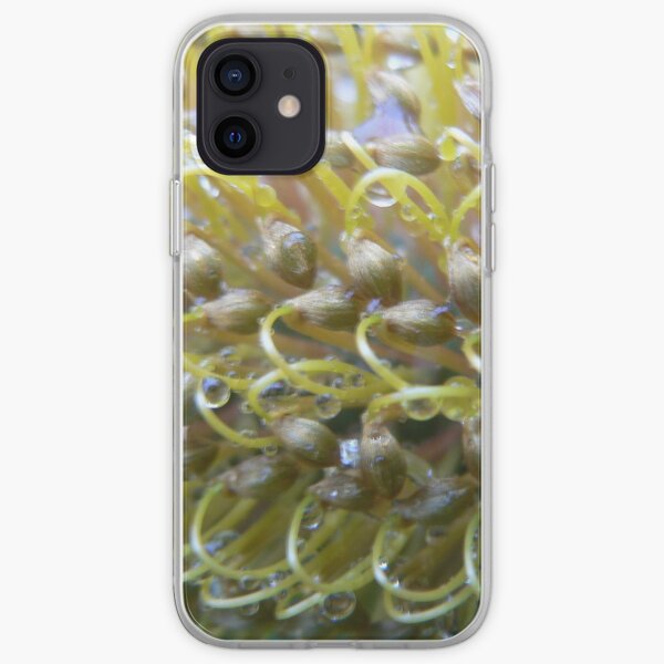 Emerald Lake Banksia iPhone Soft Case