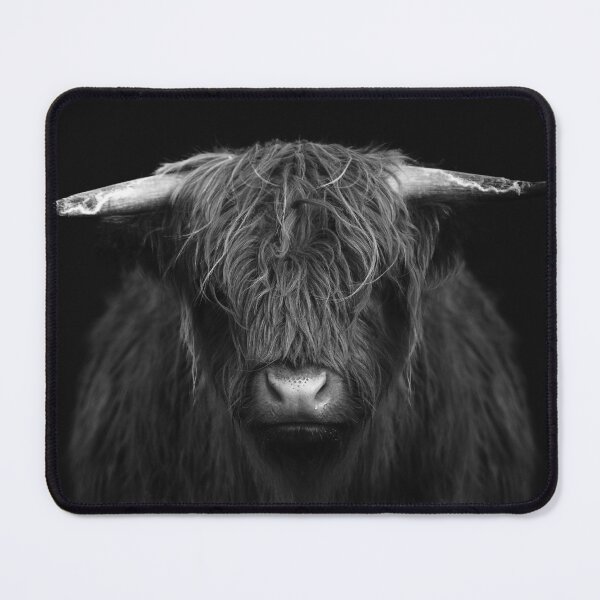 Item preview, Highland Cow - Black & White Scottish highland calf designed and sold by anass002.