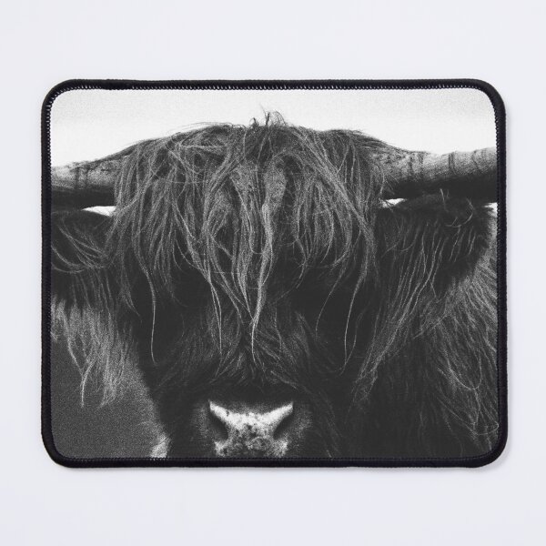 Item preview, Highland Cow - Black & White Scottish highland calf designed and sold by anass002.