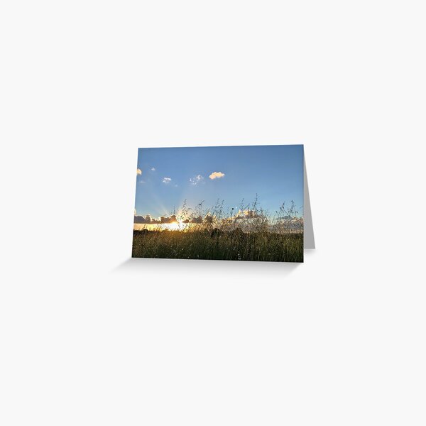 Sunset grass field Greeting Card