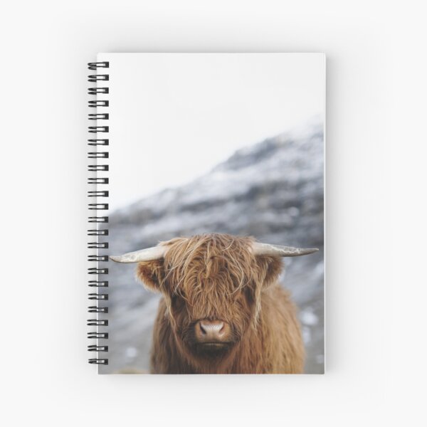 Item preview, Highland Cow - Scottish highland calf designed and sold by anass002.