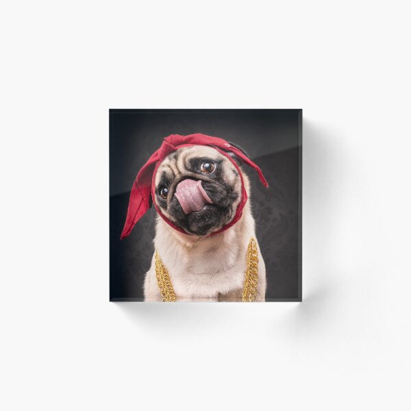 The Pug Life - Crazy Eyes 2 Acrylic Block