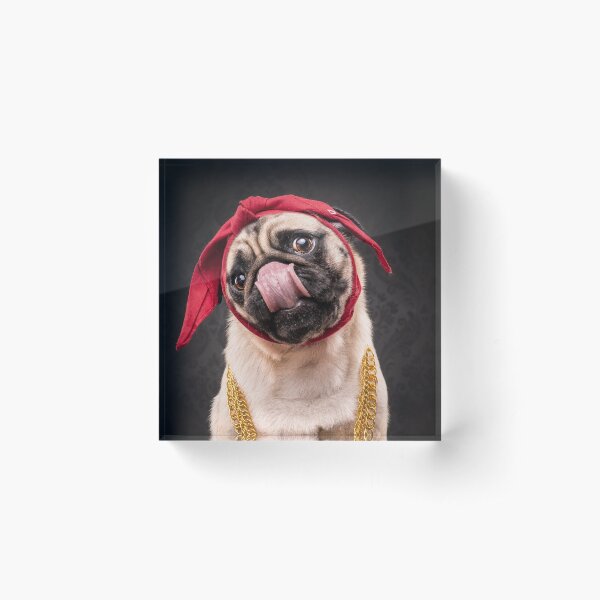 The Pug Life - Crazy Eyes 2 Acrylic Block
