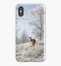 Glen Shiel Misty Winter Deer iPhone Case