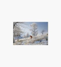 Glen Shiel Misty Winter Deer Art Board