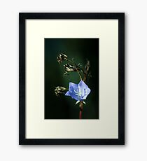 Survival Framed Print