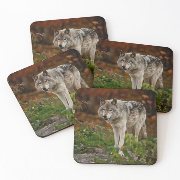 Item preview, Gray Wolf designed and sold by Michael Cummings.