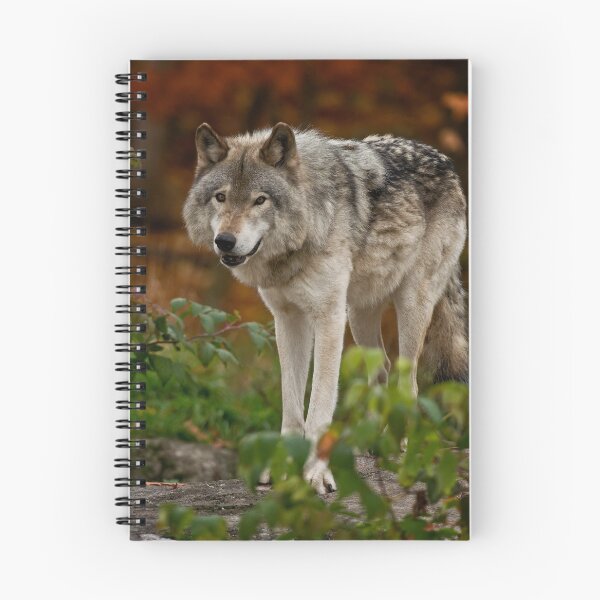 Item preview, Gray Wolf designed and sold by Michael Cummings.
