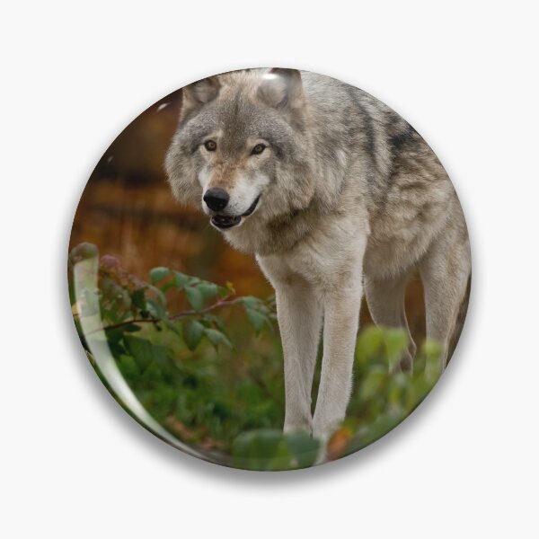 Item preview, Gray Wolf designed and sold by Michael Cummings.