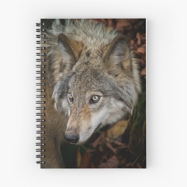 Item preview, Timber Wolf designed and sold by Michael Cummings.