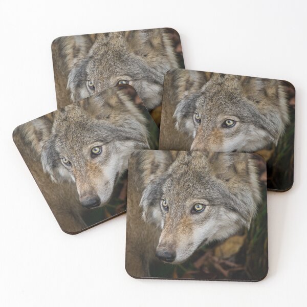 Item preview, Timber Wolf designed and sold by Michael Cummings.