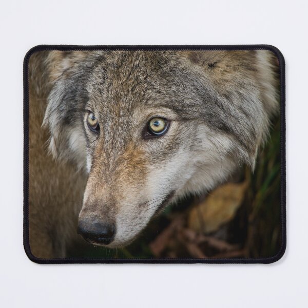 Item preview, Timber Wolf designed and sold by Michael Cummings.