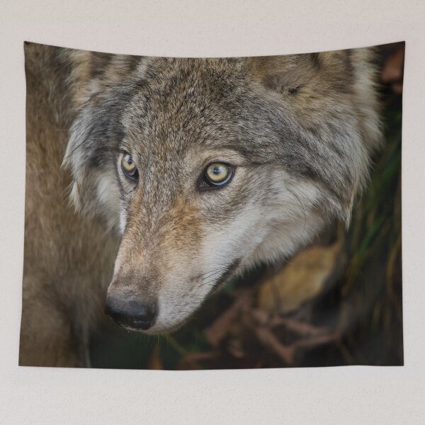 Item preview, Timber Wolf designed and sold by Michael Cummings.