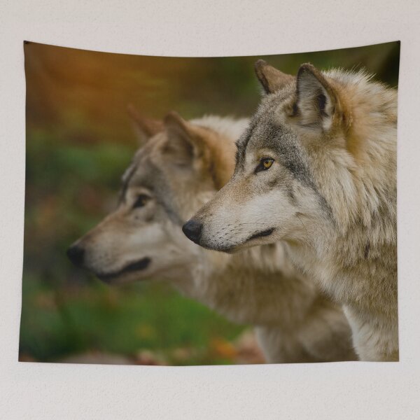 Item preview, Timber Wolves designed and sold by Michael Cummings.