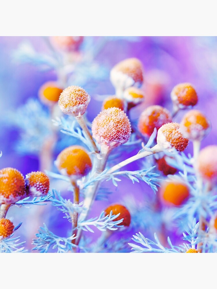 Apocalyptic Strings by boxx2genetica