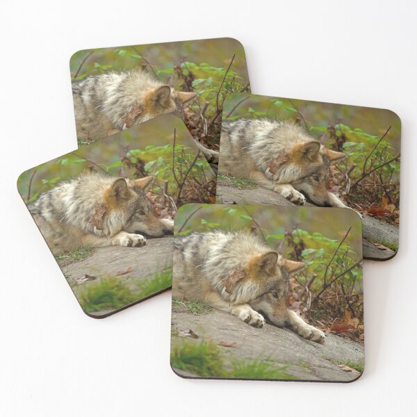 Item preview, Chillaxing designed and sold by Michael Cummings.
