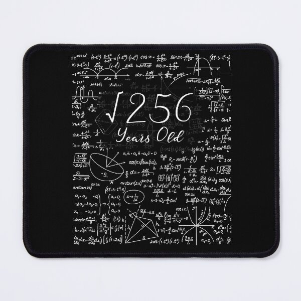 Item preview, Square Root of 256 16 Years Old Math Student designed and sold by TranscendFlow.