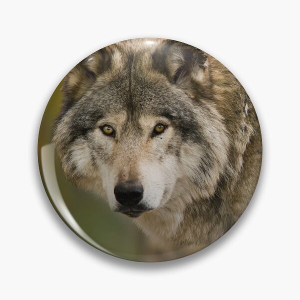 Artikelvorschau, Grauer Wolf entworfen und verkauft von Michael Cummings.