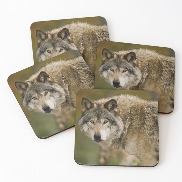 Item preview, Gray Wolf designed and sold by Michael Cummings.