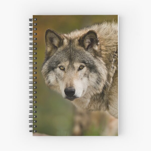 Item preview, Gray Wolf designed and sold by Michael Cummings.