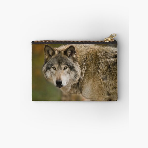 Artikelvorschau, Grauer Wolf entworfen und verkauft von Michael Cummings.
