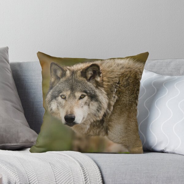 Item preview, Gray Wolf designed and sold by Michael Cummings.