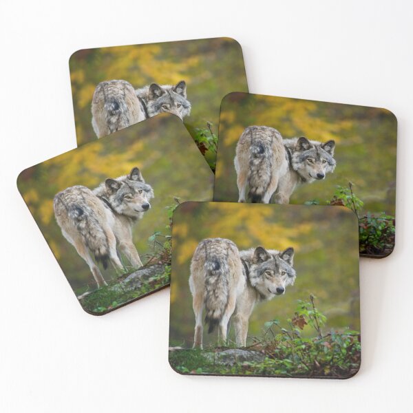Item preview, Gray Wolf designed and sold by Michael Cummings.