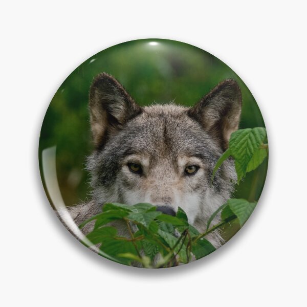 Artikelvorschau, Grauer Wolf entworfen und verkauft von Michael Cummings.