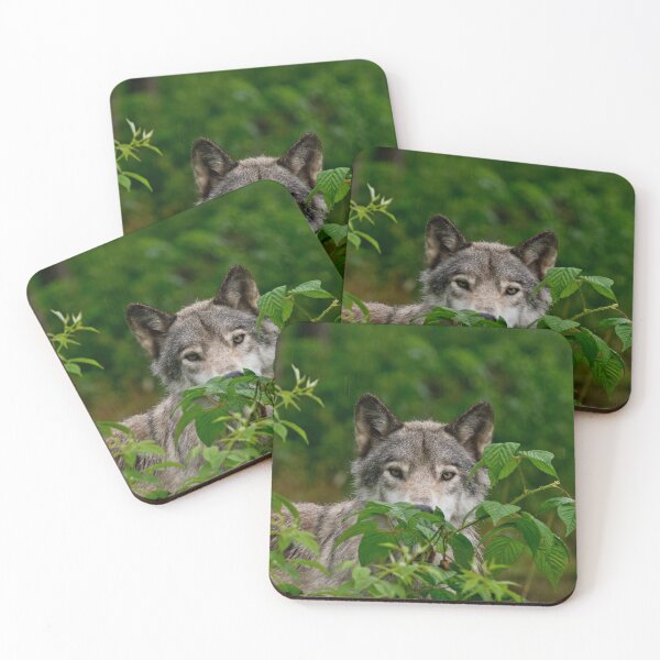 Item preview, Grey Wolf designed and sold by Michael Cummings.