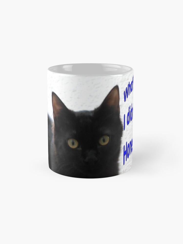 Alternate view of What?? I didn't do anything wrong! Honestly I didn't! Mug