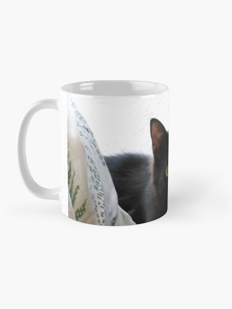 Alternate view of What?? I didn't do anything wrong! Honestly I didn't! Mug