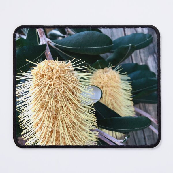 Item preview, Yellow Bottlebrush designed and sold by smh2.