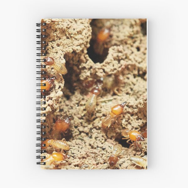 Item preview, Termites Nature Food Small Insect designed and sold by MonArtisteSam.