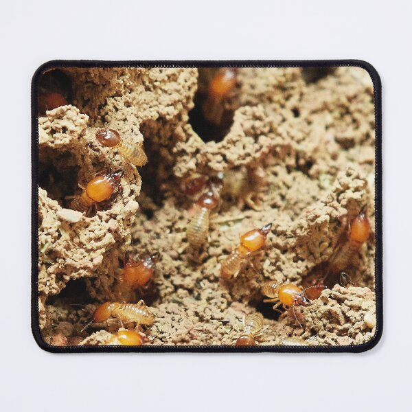 Item preview, Termites Nature Food Small Insect designed and sold by MonArtisteSam.
