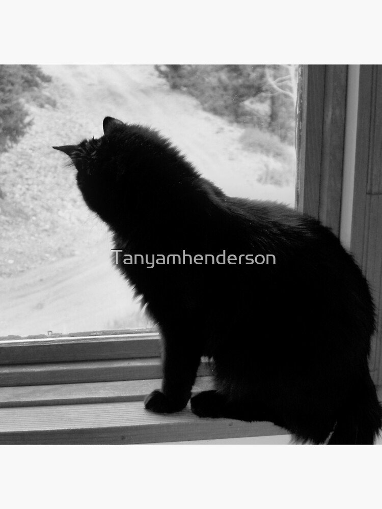 Waiting by Tanyamhenderson