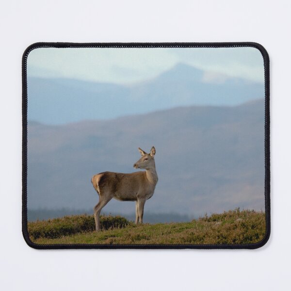 Item preview, Red Deer Hind designed and sold by Macrae images.