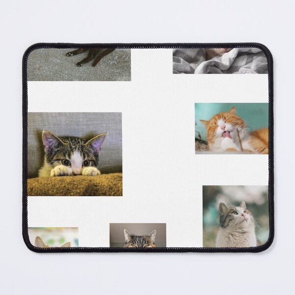 Item preview, Cats sticker set designed and sold by thatsit-itslit.