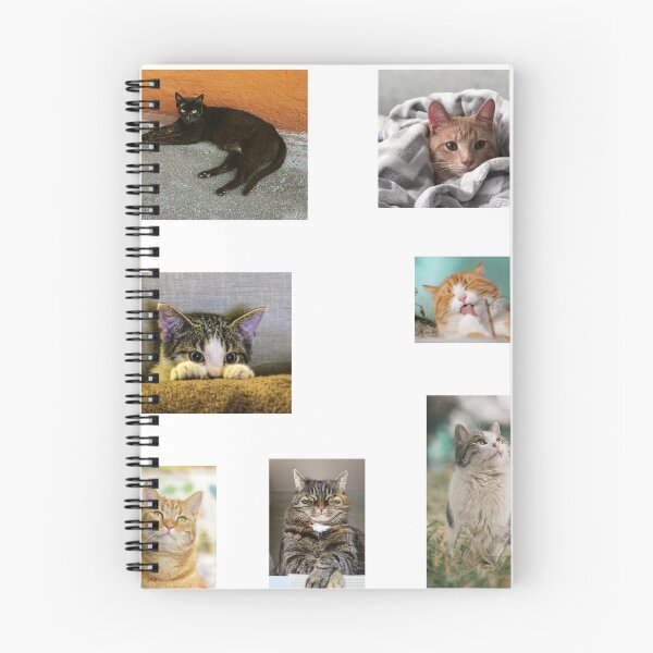 Item preview, Cats sticker set designed and sold by thatsit-itslit.